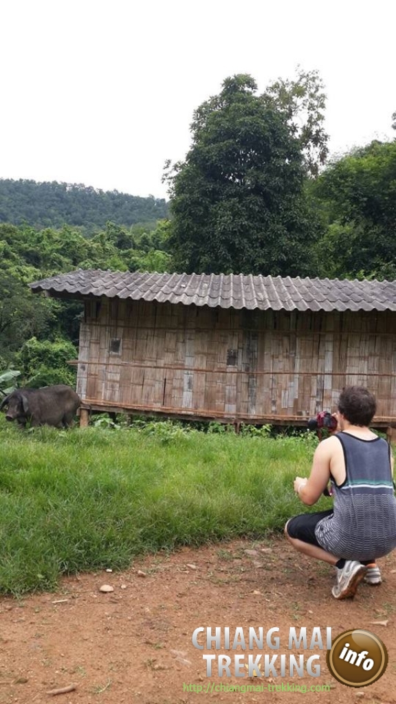 2-days/1-night Trekking Tour | Chiang Mai Trekking | Le meilleur trekking à Chiang Mai avec Piroon Nantaya